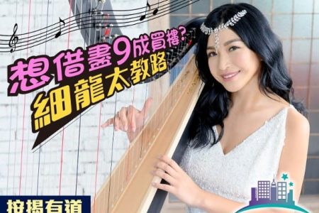 按揭成數