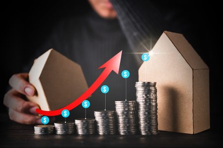 Investment Insight